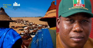 where are the cows